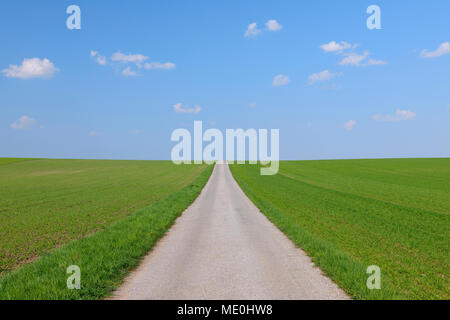 Route à travers un champ de céréales sur une journée ensoleillée au printemps en Burgenland, Autriche Banque D'Images