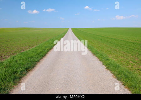 Close-up d'une route à travers un champ de céréales sur une journée ensoleillée au printemps en Burgenland, Autriche Banque D'Images