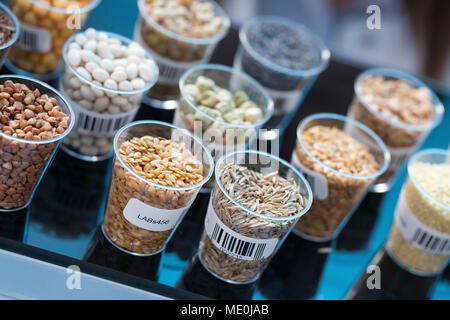 Graines et céréales en laboratoire de sécurité des aliments. Banque D'Images