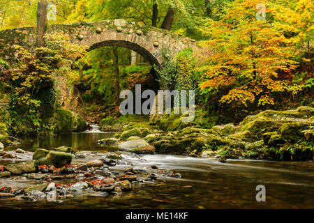 Un coup d'automne de Foley's Pont sur la rivière Shimna à Tollymore Forest Park dans le comté de Down, en Irlande. Banque D'Images