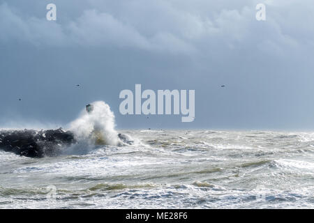 Mole avec le vaporisateur à de forts vents et des vagues, de la mer du Nord, Jutland, Danemark du Sud, Danemark Banque D'Images