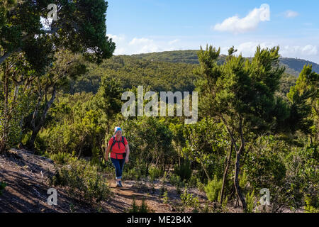 Femme sur sentier à Los Barranquillos, près de Vallehermoso, le Parc National de Garajonay, La Gomera, Canary Islands, Spain Banque D'Images