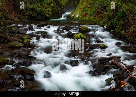 Bridal Veil Creek, Bridal Veil Falls State Park, Columbia River Gorge National Scenic Area, New York Banque D'Images