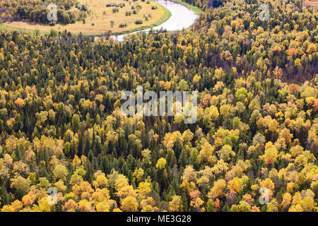 Vue de dessus de forêt d'automne Banque D'Images