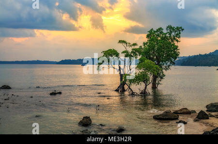 Chidiya Tapu beach sunset avec moody sky et de l'eau reflet, Port Blair, Andaman en Inde. Banque D'Images