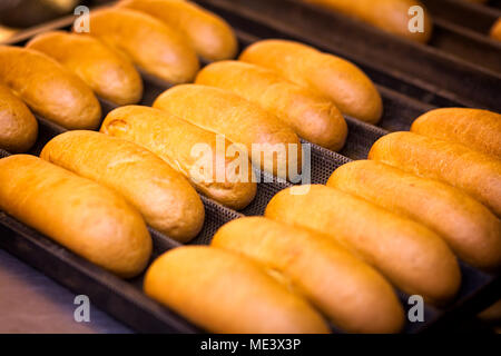 Close-up de délicieux petits pains frais avec saucisses se trouvent dans les lignes droites sur un plateau Banque D'Images