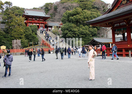 Traduction : les filles en kimono en face de fûts ou barils de sake (alcool japonais) au sanctuaire Tsurugaoka. Prises à Kamakura, février 2018. Banque D'Images