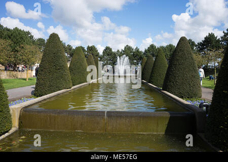 Arbre conique et un bassin avec jet d'eau dans un jardin à Lisse, Pays Bas, l'Europe par un beau jour d'été Banque D'Images