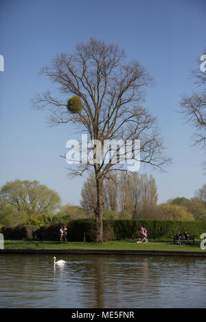 River Avon de Straford-upon-Avon Banque D'Images