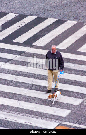 Rome, Italie - 22 Février 2015 : Un homme promène son chien à côté du Colisée au coeur de Rome, tout en traversant la route. Banque D'Images