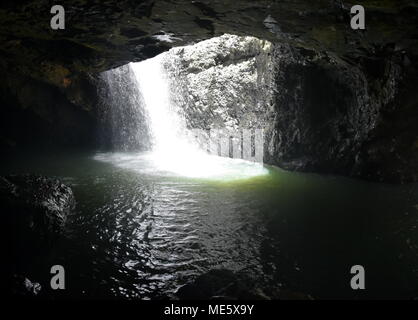 La cascade à l'arche naturelle de Springbrook National Park dans l'arrière-pays de la Gold Coast dans le Queensland en Australie. Banque D'Images