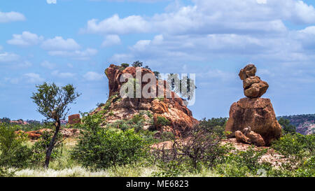 Rochers rochers dans le parc national de Mapungubwe, Afrique du Sud Banque D'Images