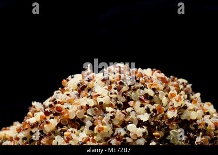 Noir, rouge et blanc que le quinoa a été bouillie puis mijoter jusqu'à ce qu'il a absorbé l'eau de cuisson. Le quinoa, Chenopodium quinoa, est d'amar Banque D'Images