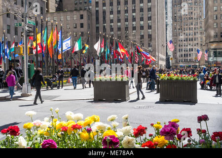 Des drapeaux américains et des fleurs de printemps avec des drapeaux à Rockefeller Center, NEW YORK, USA Banque D'Images