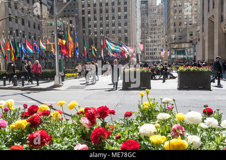 Des drapeaux américains et des fleurs de printemps avec des drapeaux à Rockefeller Center, NEW YORK, USA Banque D'Images