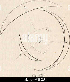. Die Lehre von der nach den Medianpunkton Pflanzenzelle . B C gezogenen von und mit dieser Sehne Die gleiche Winkel l)ilden. Ueber diesem Mittelpunkt der Chorda enisteht das nächste Blatt [A] ; es folgt auf das Blatt B mit einer von Divergenz '/.. des Stängelumfangs. Wenn dagegen jedes Blatt de senneur frühen Jugend, lange es das der Stängel- spitze nächste ist, seine base verbreitert beistehender rascher (en Figure um die Stücke und a b a b'], als auf dem etwas späteren Entwickelungszustan- de, während dessen ein Blatt jüngeres höher an der Achse steht ; - de façon ent- fernt während sich, da Banque D'Images