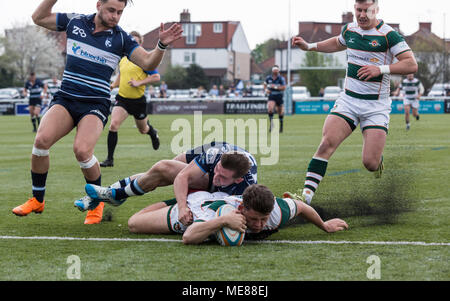 Londres, Royaume-Uni, 21 avril 2018. Piers O'Connor marque un essai, Trailfinders Ealing v Bedford Blues dans la demi-finale de la coupe B&I au château de Bar, Vallis, West Ealing, Londres, Angleterre, le 21 avril 2018 score final 36-16 : Crédit Lissy Tomlinson/Alamy Live News Banque D'Images