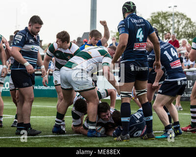 Londres, Royaume-Uni, 21 avril 2018. Alun Walker marque un essai, Trailfinders Ealing v Bedford Blues dans la demi-finale de la coupe B&I au château de Bar, Vallis, West Ealing, Londres, Angleterre, le 21 avril 2018 score final 36-16 : Crédit Lissy Tomlinson/Alamy Live News Banque D'Images