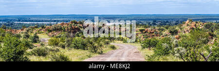 Vue panoramique paysage de rochers dans le parc national de Mapungubwe, Afrique du Sud Banque D'Images