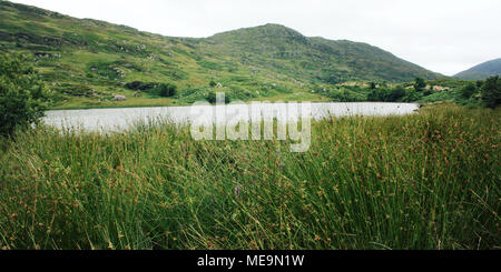 Lac et collines vertes. Une vue panoramique d'un Kerry montagnes et ses environs dans le comté de Kerry. Effet d'âge. Paysage le long de l'Anneau du Kerry. Irelan Banque D'Images