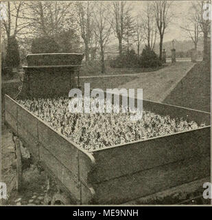 . Die Gartenwelt . Wagen mit Maiblumen, für die Ausstellung défini. Dans der Gärtnerei von E. Neubert, Wandsbek, für die "Gartenwelt" photographisch. aufgenommen werden sollen. Anführung ist die von Sorten zwecklos, es genügt der Hinweis, dafs alle Gruppen- ausschliefslich enthielten élite sorten. Das Gleiche bei den guerre Rliododendron der Fall, die in ihrer Gesamtheit ein assortiment edelster bildeten dors- dix, wie es hervorragender wohl noch nicht gezeigt worden ist. Besonderes Interesse verdienen auch zwei neue Seideische Rhododendron-TM.cM.VLVLgt'o., die eine gesonderte Gruppe : bildeten Banque D'Images