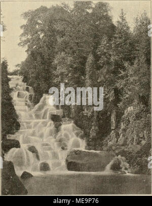 . Die Gartenwelt . Partie aus dem Viktoria-Parke zu Berlin (Blick n -oi Vom Verfasser für <Iic "Carteiiwek aufgeuumiiien photographisch^'. Banque D'Images
