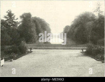 . Die Gartenkunst . Abb. 9. Blick vom Schloss Benrath : Sohlofs über den Kanal. die gelben, zierlichen Blüten. Verfall und Auferstehen zu Zeit zu erleichtern an derselben Pflanze ! Es leuchtet, dans prachtvollen roten Tönen aus dem Laubgewirre fforida, Cornus, de l'ist der sein buntes Herbstgewand hat angezogen. Die Blätter rollen sich etwas zusammen, sie sitzen auf ganz eigentümlich färbten filzigen- ge, grau, violetten Blattstielen, aber scharf gegen diese stumpfe Farbe kontrastiert Herbstlaubes pgh glühende das Rot des leuchtend, besonders dann, wenn die Herbstsonne es durchscheint. Ganz in der Nähe Banque D'Images