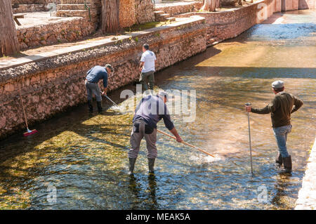 Les travailleurs du Conseil portugais algues clair de l'eau de source chauffée à l'alté, Algarve, Portugal. Banque D'Images