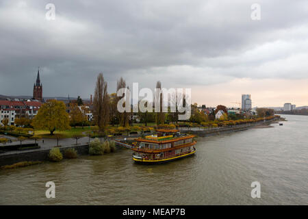 Les feuilles des arbres colorés à l'automne sur la banque du Rhin à Bonn en Allemagne. Banque D'Images