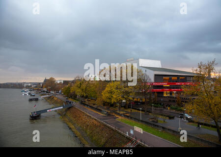 Les feuilles des arbres colorés à l'automne sur la banque du Rhin à Bonn en Allemagne. Banque D'Images