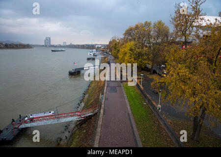 Les feuilles des arbres colorés à l'automne sur la banque du Rhin à Bonn en Allemagne. Banque D'Images