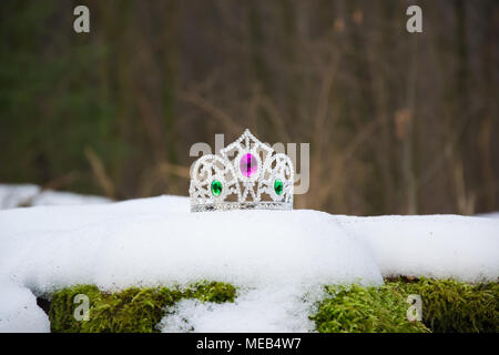 Une photographie d'une couronne perdue au milieu des bois en hiver. Banque D'Images