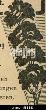 . Die Gartenkunst . Homme bittet bei Bestellungen sich die Gartenkunst .^' zu beziehen auf. Banque D'Images