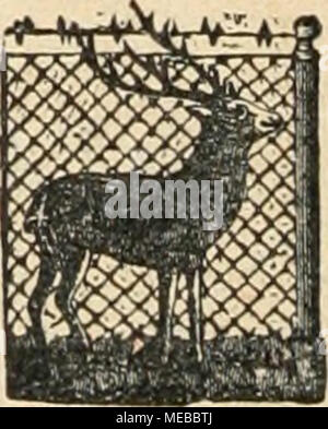 . Die Gartenkunst . Homme bittet Bestellungen bei sich auf die "Qartenkunsi" zu beziehen. Banque D'Images