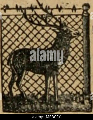 . Die Gartenkunst . Banque D'Images