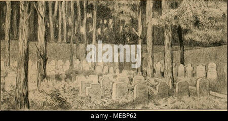 . Die Gartenwelt . Friedhofsentwurf .Kein Park" von E. Barth, städt. Gartendirektor, Charlottenburg. Gräberfeld. Friedhofsentwurf ,,Kein Park" von E. Barth, städt. Gartendirektor, Charlottenburg. Talübergang östlich der Kapelle. vollste Teil des Geländes, das von Nord nach Süd sich hin- ziehende Tal, zerstört und un senneur Stelle eine architektonische hippodromartige Platzanlage regelmäßige, geschaffen worden. Bei diesem Entwurf ist mit viel est tellement Terrassen und Hecken, Laubengängen cours worden, dass er unter den heutigen Verhältnissen als luxuriös und für die aus- c'est pourquoi Vize-außenmin Banque D'Images