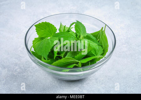 Feuilles de salade verte, d'ortie dans un bol en verre sur une table de béton gris Banque D'Images
