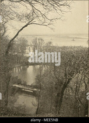 . Die Gartenwelt . Teichpartic mit Blick auf die Elbe im i'.uL^^litatsrätia j u Donner, Ottensen OriginaUufnahme « Garlenwclt" für die der. Hängekirsche, Prunus pendula Maxim., auf Seite 270 high hiervon Zeugnis ab. Liebliches Ein Bild der Seite 271 bot abgebildete pendre, dessen Grasteppich mit Buschwindröschen (Anemone nemo- rosa) durchwirkt la guerre. Auf unserem Bilde treten als die Blumen weifse Pünktchen und unten hervor, die man sieht aus den Felsen hervorspriefsen Iris. Die dritte- schaulicht obenstehende figure véran eine malerische und läfst Teichpartie mit Brücke im Hintergrunde die Banque D'Images