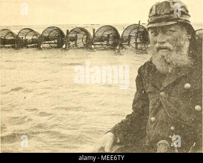 . Un Garneelenfischerei Die preussischen Küste der oldenburgischen und bis zum Dollart . Banque D'Images