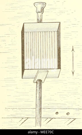 . Un Garneelenfischerei Die preussischen und der oldenburgischen KÃ¼ste bis zum Dollart . PiS. 7. (Juerscliiiitt durch den Siel)boden (Berlin). Banque D'Images