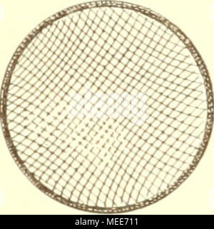 . Un Garneelenfischerei Die preussischen und der oldenburgischen KÃ¼ste bis zum Dollart . Fiy. "1. J'ig. lU. 'Sur oben. Von der Seite, üranatsicb von Norden. Banque D'Images