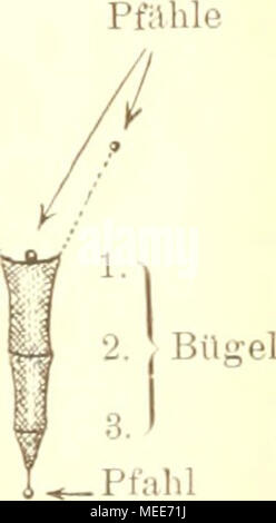 . Un Garneelenfischerei Die preussischen Küste der oldenburgischen und bis zum Dollart . Verengenins' der Maschen nach hinten zu. Fi" PiK. 6 2 3 standen und infolge der Bügel offen. Bügel hinter dem letzten o nach hinten zu standen die ersten Maschen, verengten les noch zu sich allmählich dann aber nach der Spitze zu, wo das Netz guerre zusammengeschnüit (voir Fig. G). Banque D'Images