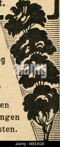 . Die Gartenkunst . Homme bittet bei Bestellungen auf die sich zu beziehen. Qartenkunsf^ £3aE3E3E3£3E3E3E3 3aE3££3£3E3£3£3E3E3E3E3AE3E3£3E3£3. illleBbäumB j  Starke Banque D'Images