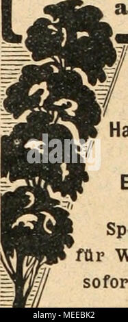 . Die Gartenkunst . Banque D'Images