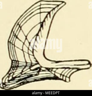 . Die Beteiligung deutschlands an der internationalen Meeresforschung : rapport annuel . Banque D'Images