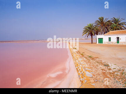 Salt works. San Pedro del Pinatar, Murcia, Espagne. Banque D'Images