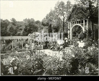 . Die Gartenkunst . Laube unJ Staudeiipflaazuiig Garteu "im Deutschen" von J. Vusstellung P .crd dans den. (Blick linien des Hauses. Trotz senneur geringen weist Ausdehnung der Garten drei zitunlich scharf getrennte détachées auf : Vorgarten oder kleiner Repräsentationsgarten Wohngarten, mit Laube und Gemüse- und Obstgarten. Der Vorgarten ist von der Stral'se durch eine mit daraufgesetztem weifsen Mauer, Holzzaun, getrennt homme durcdi gelangt und ein mit Schlingrosen beranktrn(Mi- Tor bogen in den Garten. Da das zu anstieg nach Norden Terrain, maiste es vor dem Hause planiert werden und g Banque D'Images