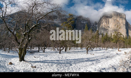 Vue panoramique de l'El Capitan avec nuages bas en haut et de la neige au sol Banque D'Images
