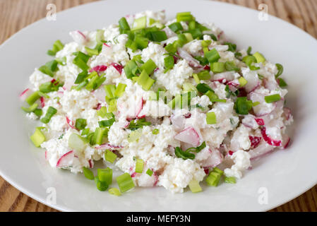 Le fromage blanc avec la ciboulette et le radis on white plate Banque D'Images