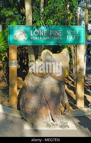 Le sanctuaire des Koalas de Lone Pine, le plus ancien et le plus grand sanctuaire de koala dans le monde près de Brisbane, Queensland, Australie Banque D'Images